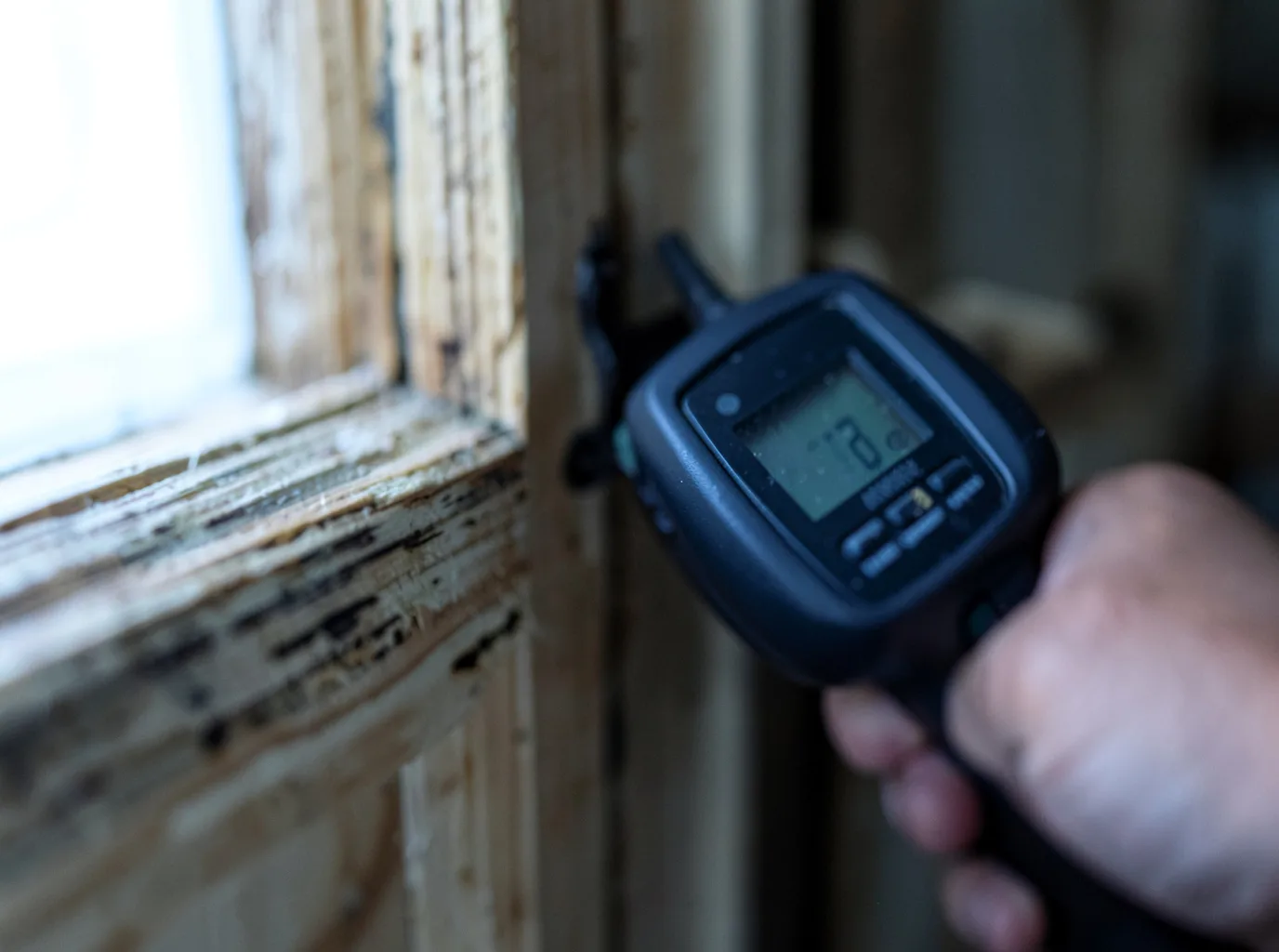 Moisture Inspection And Documentation in Brokaw, WI